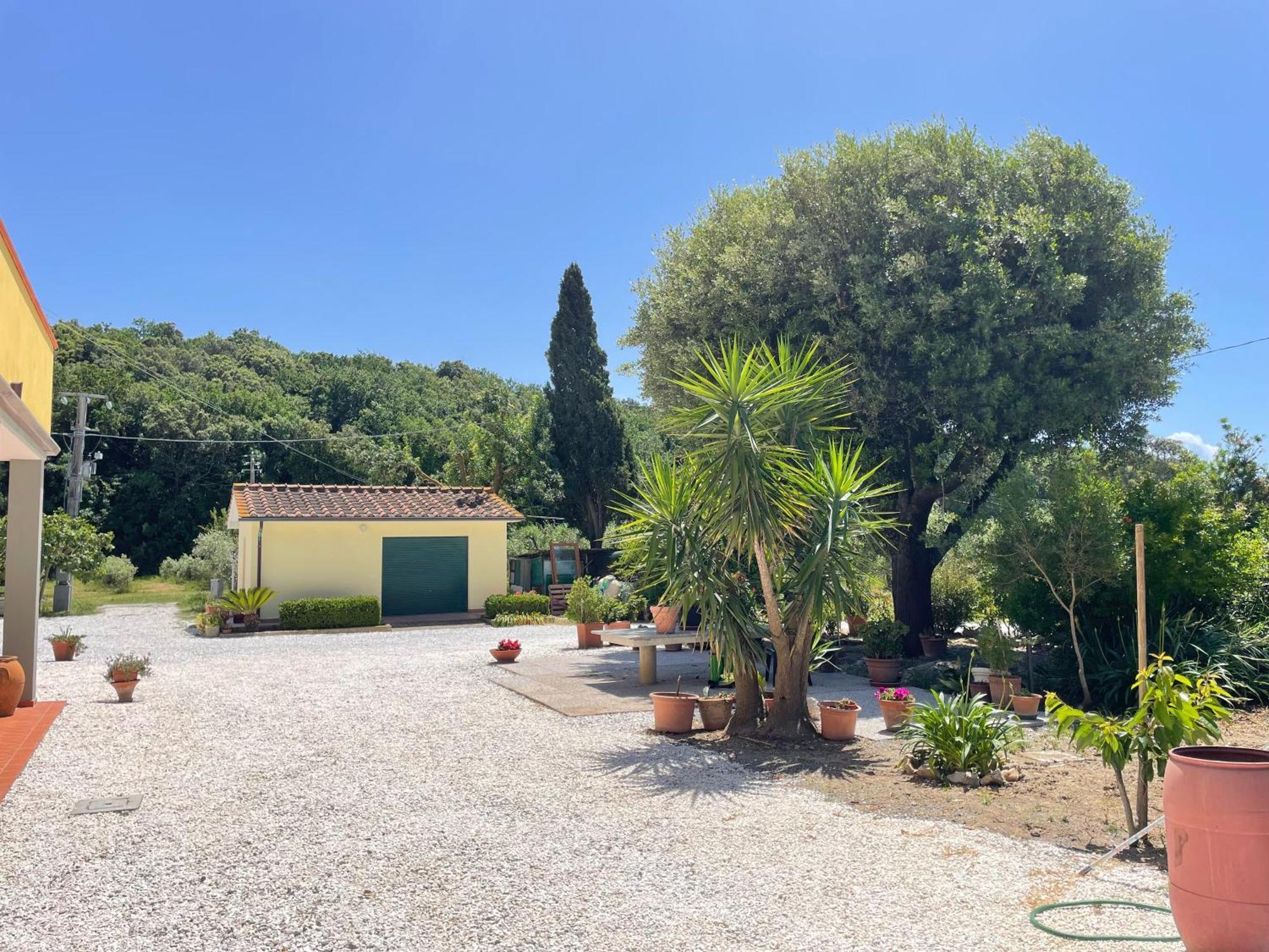 Il Leccio Agriturismo Fiorino Exterior photo