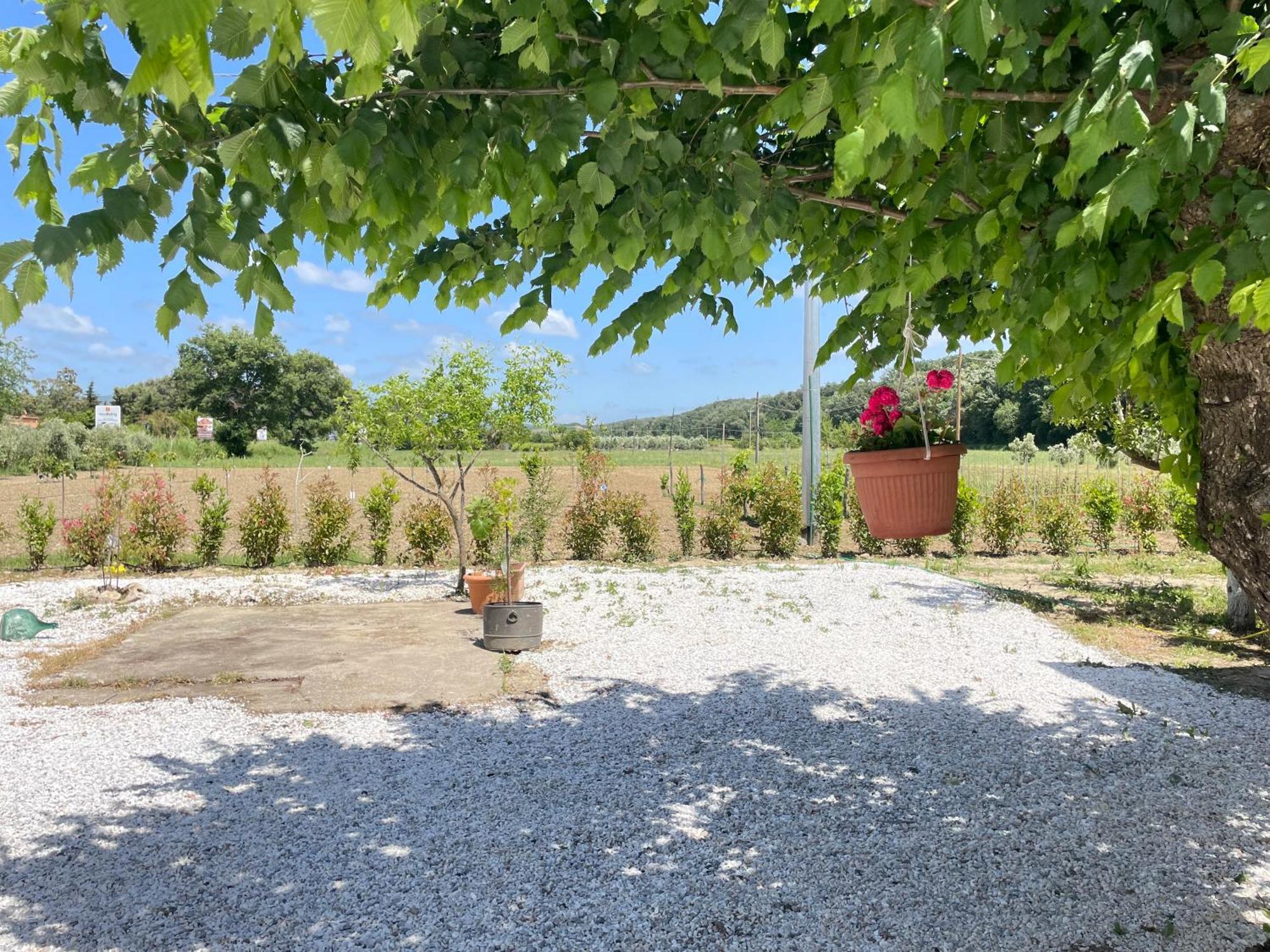 Il Leccio Agriturismo Fiorino Exterior photo