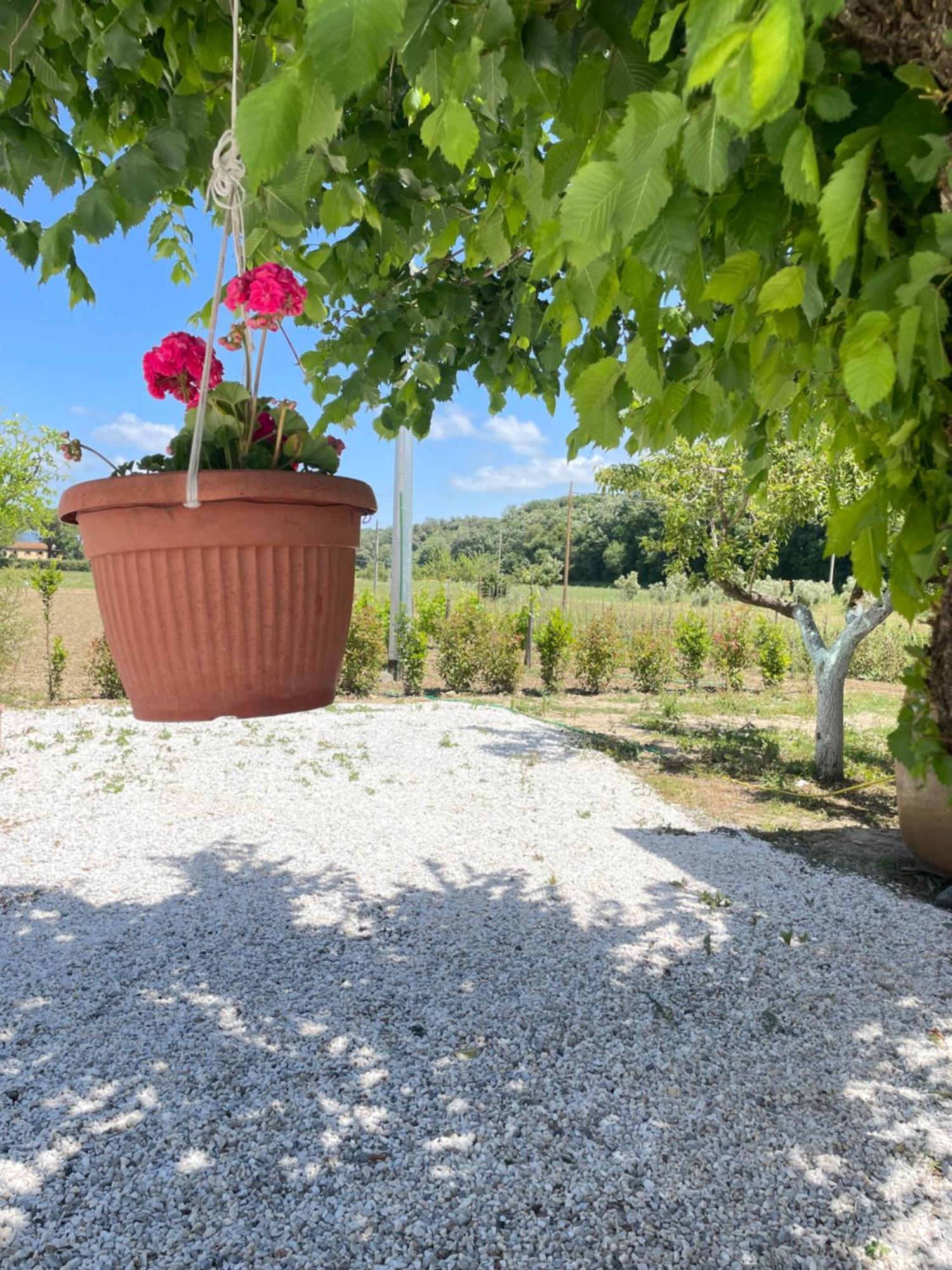 Il Leccio Agriturismo Fiorino Exterior photo