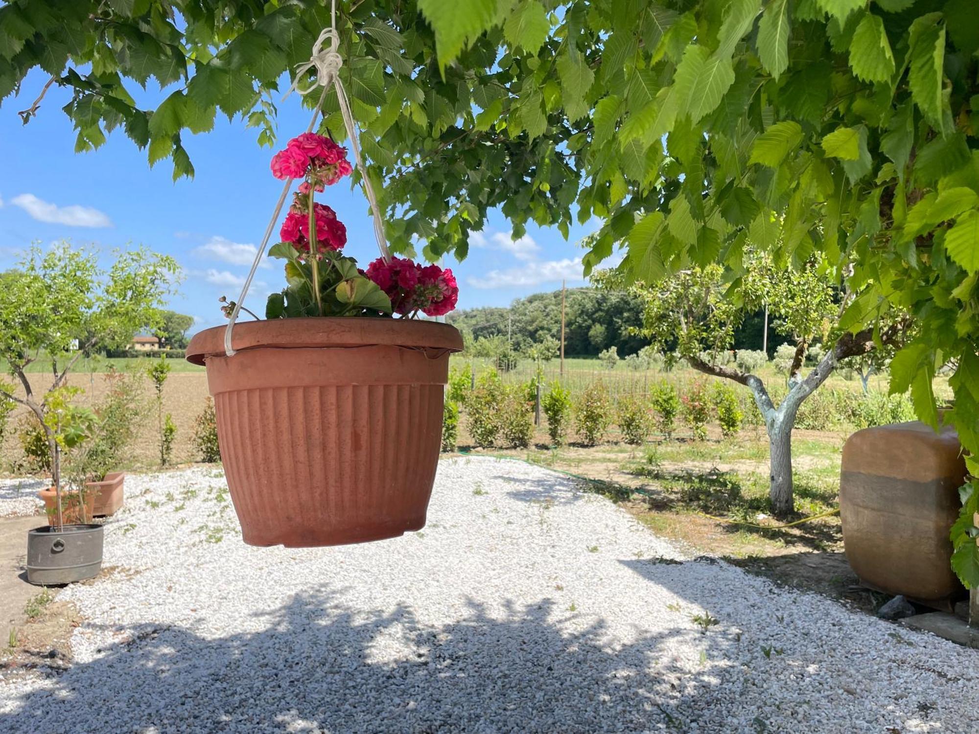 Il Leccio Agriturismo Fiorino Exterior photo
