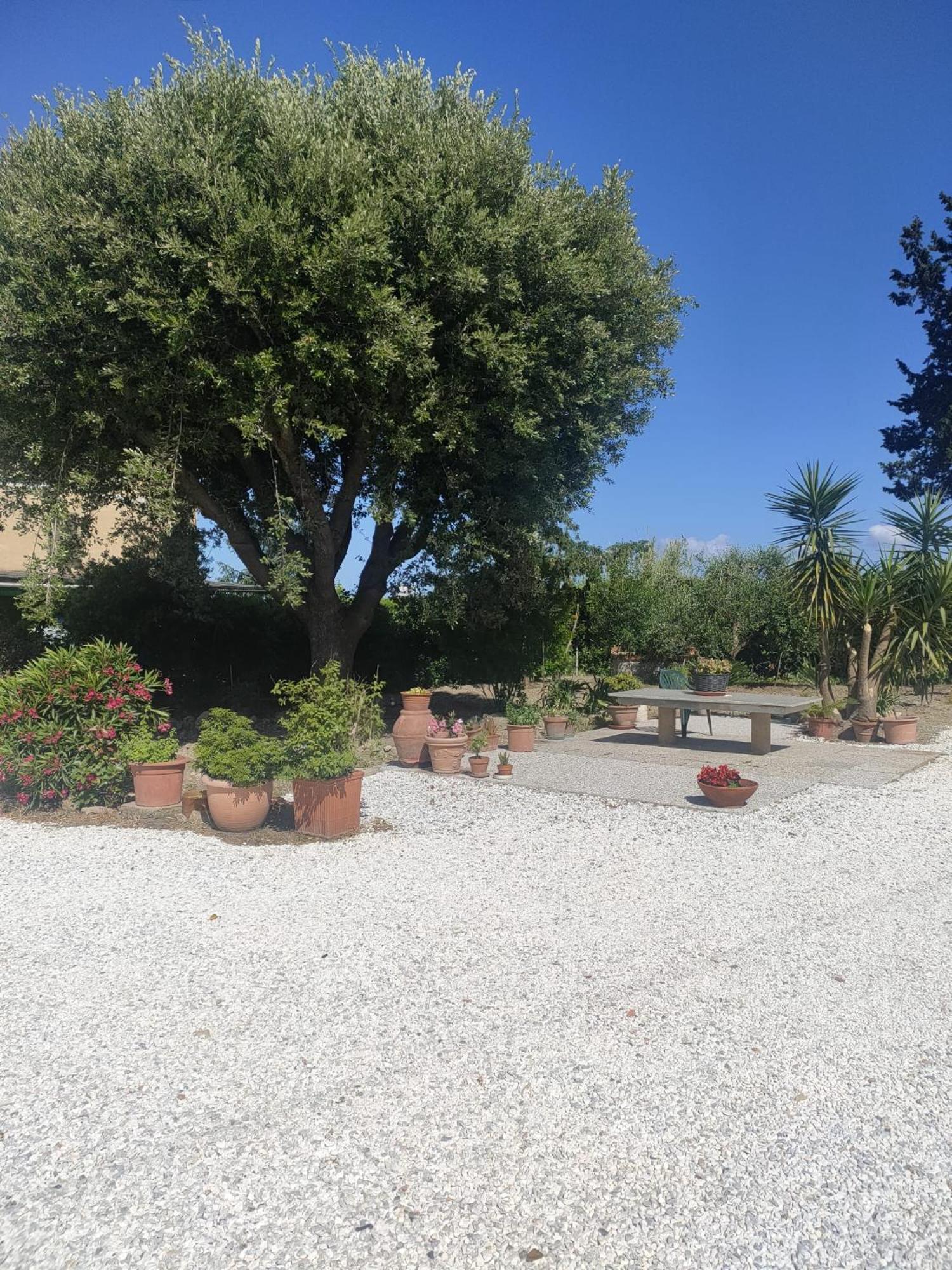 Il Leccio Agriturismo Fiorino Exterior photo